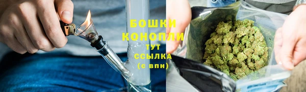 сатива Майский