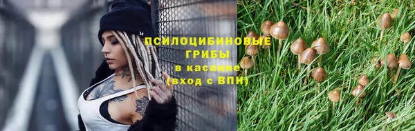 сатива Майский
