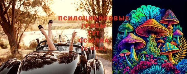 сатива Майский