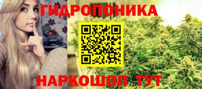 МДМА Гатчина