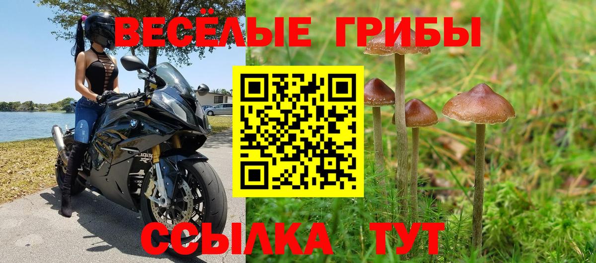 Нягань  Псилоцибиновые грибы ЛСД  Вход с VPN 
